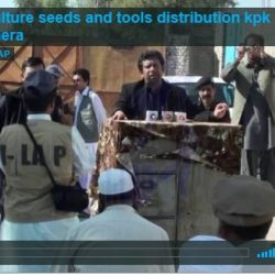 Agriculture seeds and tools distribution Nowshera